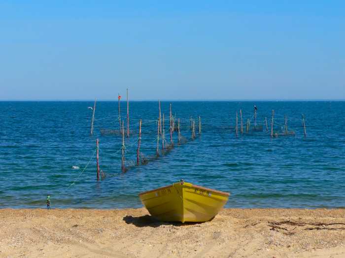 Fishing nets in Fort Pond Bay